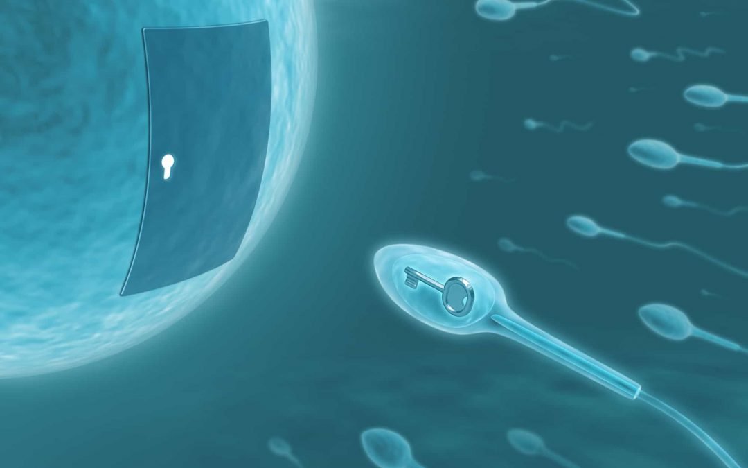 Hypnosis for Fertility – The Ultimate Key to Fertility