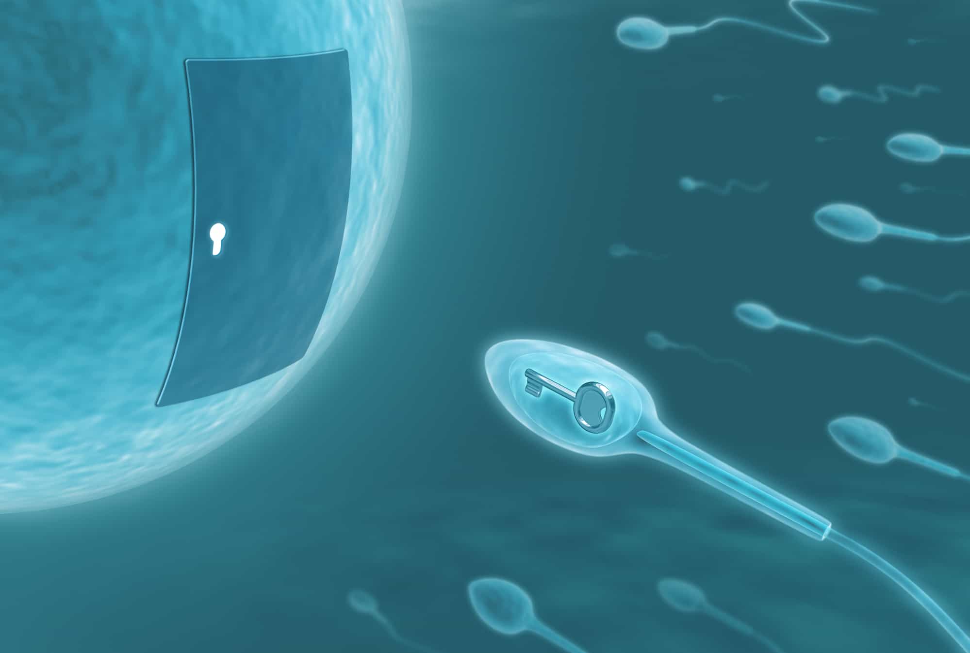 hypnosis for fertility - blue tinted image of sperm swimming to the egg with the key to fertility within it while the egg has a door with a key hole